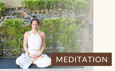 Meditation: The Presence of What Is