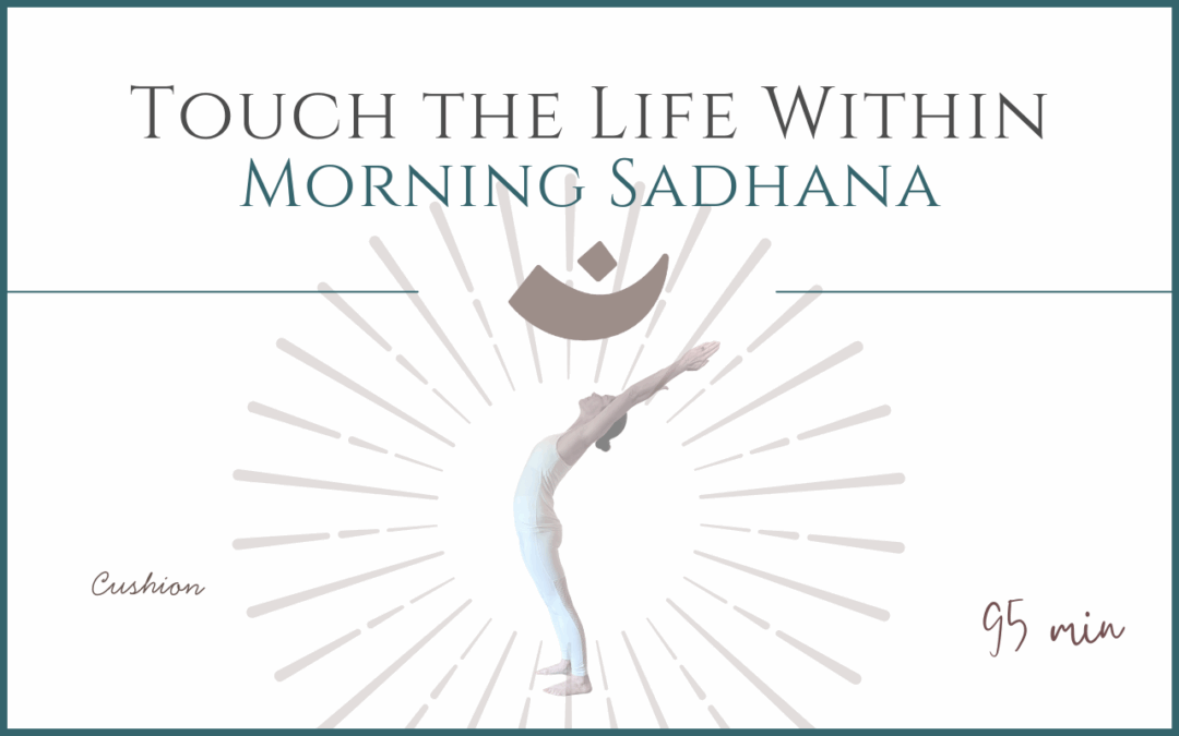 Touch the Life Within