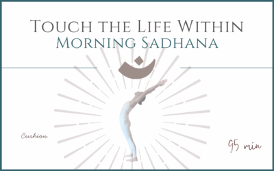 Touch the Life Within