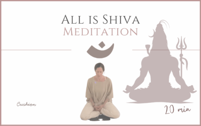 All is Shiva – Meditation