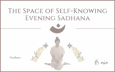 The Space of Self-Knowing – Evening Sadhana