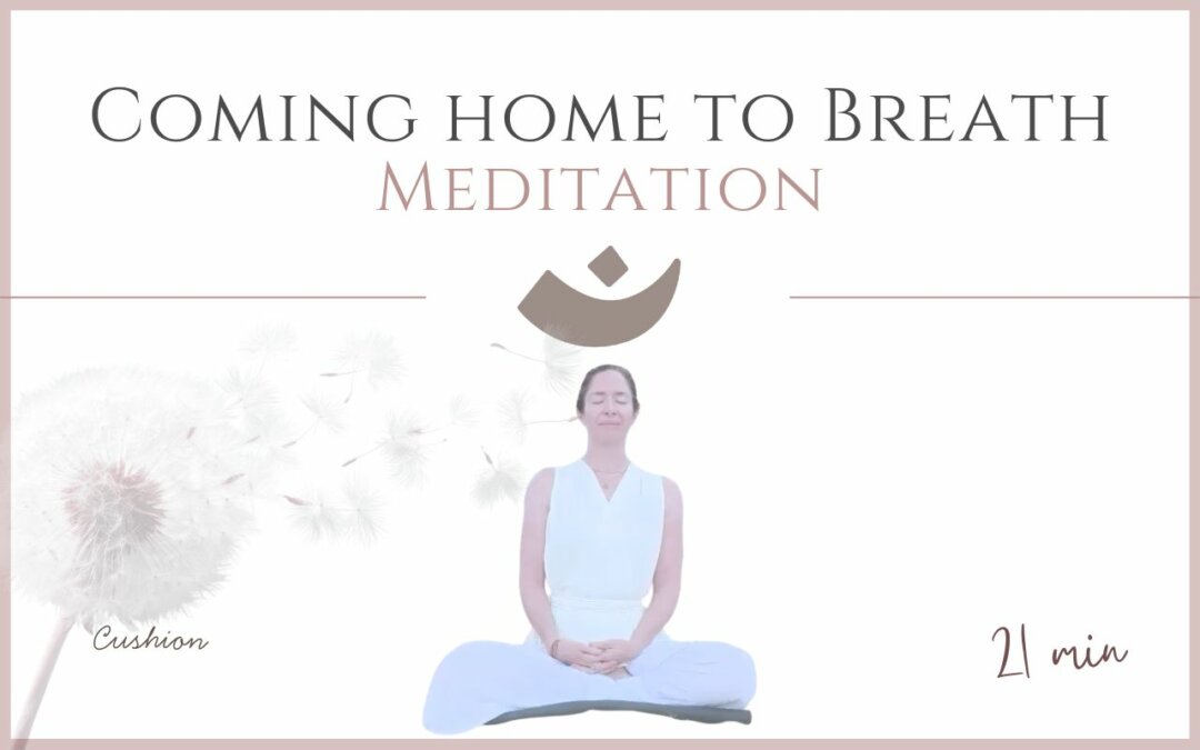 Coming Home to Breath – Meditation