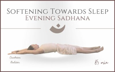 Softening Towards Sleep – Evening Sadhana