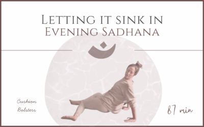 Letting it Sink in – Evening Sadhana