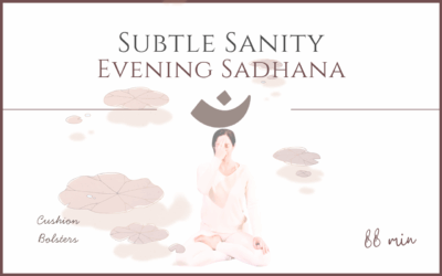 Subtle Sanity – Evening Sadhana