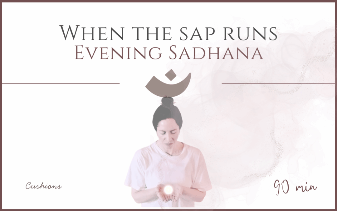 When the Sap Runs – Evening Sadhana