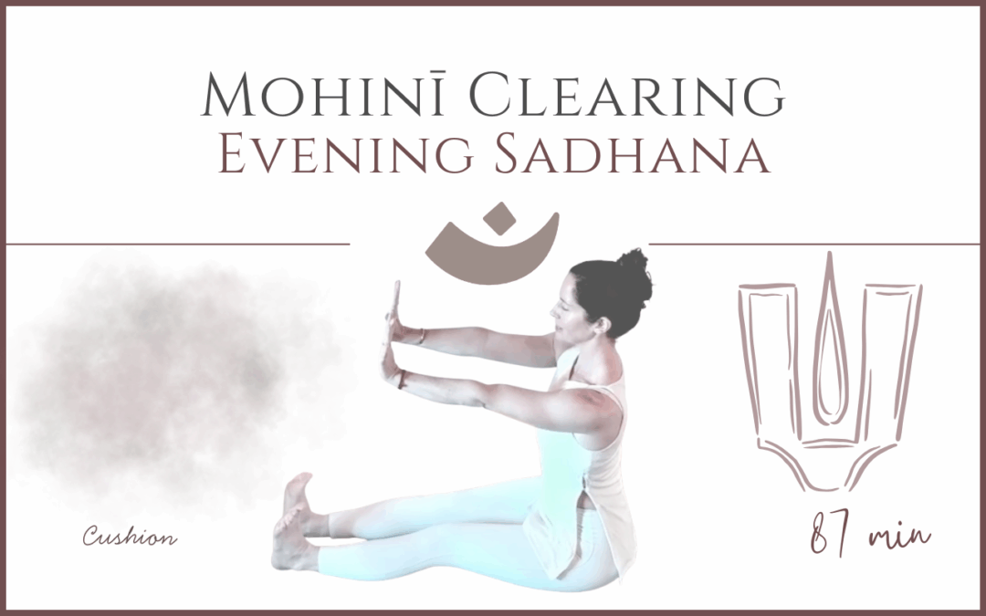 Mohini Clearing – Evening Sadhana (April 27, 2026)
