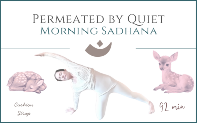 Permeated by Quiet – Morning Sadhana – May 28, 2026