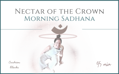 Nectar of the Crown – June 4, 2026 – Meditation