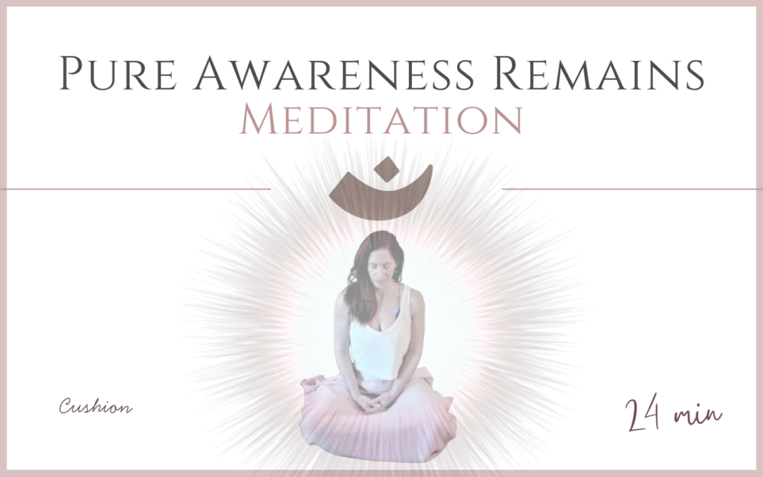 Pure Awareness Remains – Meditation -June 29, 2026