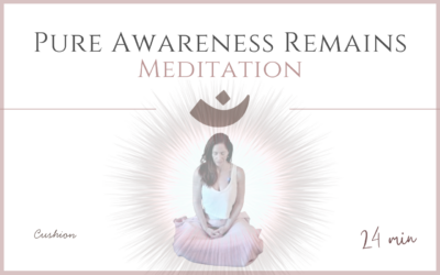 Pure Awareness Remains – Meditation -June 29, 2026